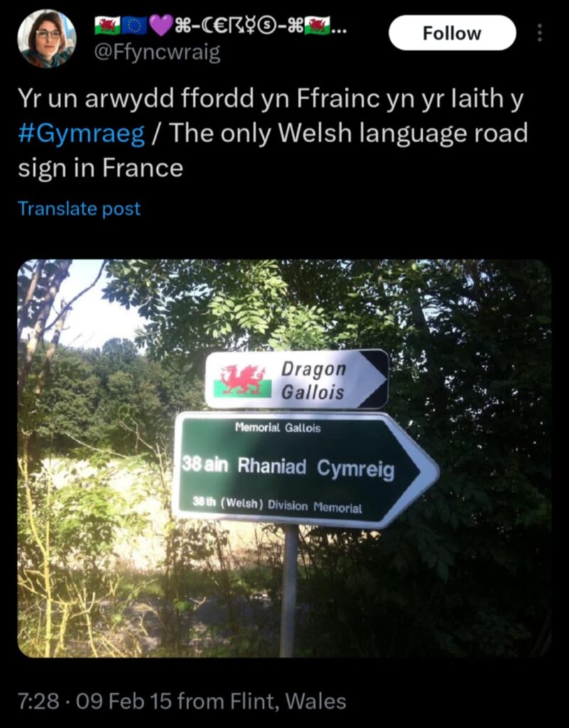 Welsh Signs