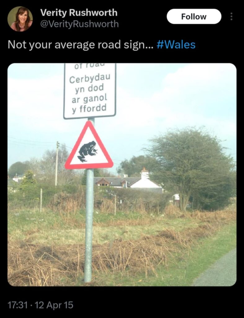 Welsh Signs