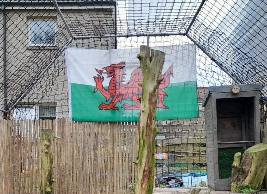 Welsh flag