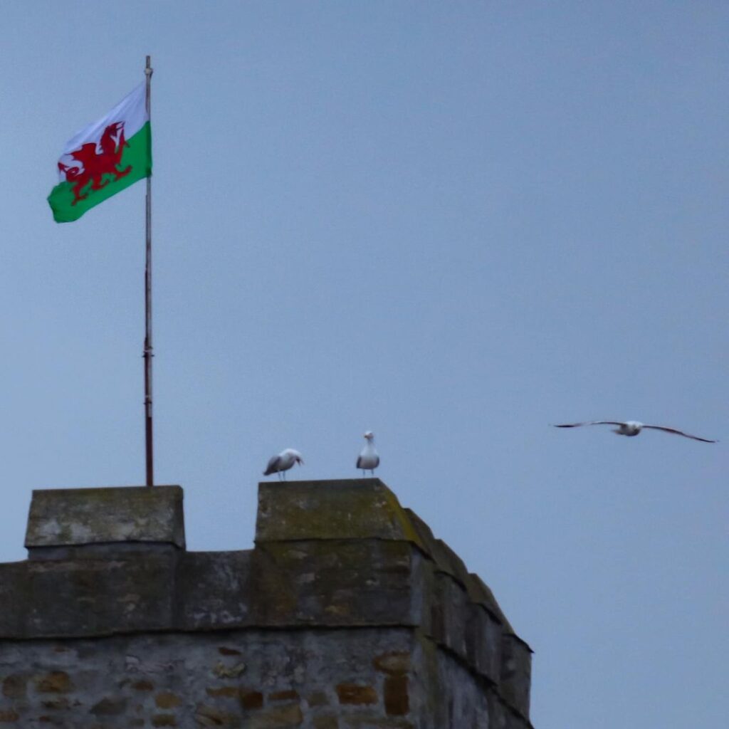 Welsh flag