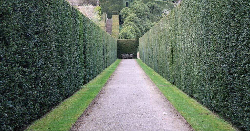 A History of Powis Castle